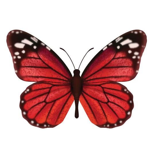 $100 Adopt a Butterfly Galentine's Day Donation