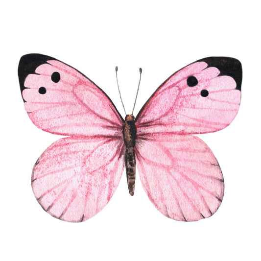 $50 Adopt a Butterfly Galentine's Day Donation