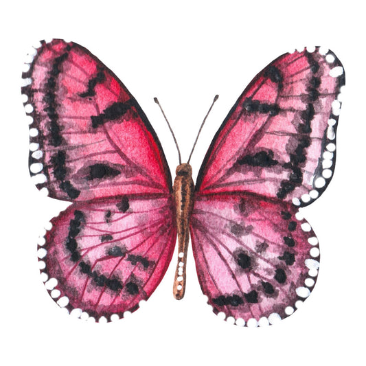 $75 Adopt a Butterfly Galentine's Day Donation